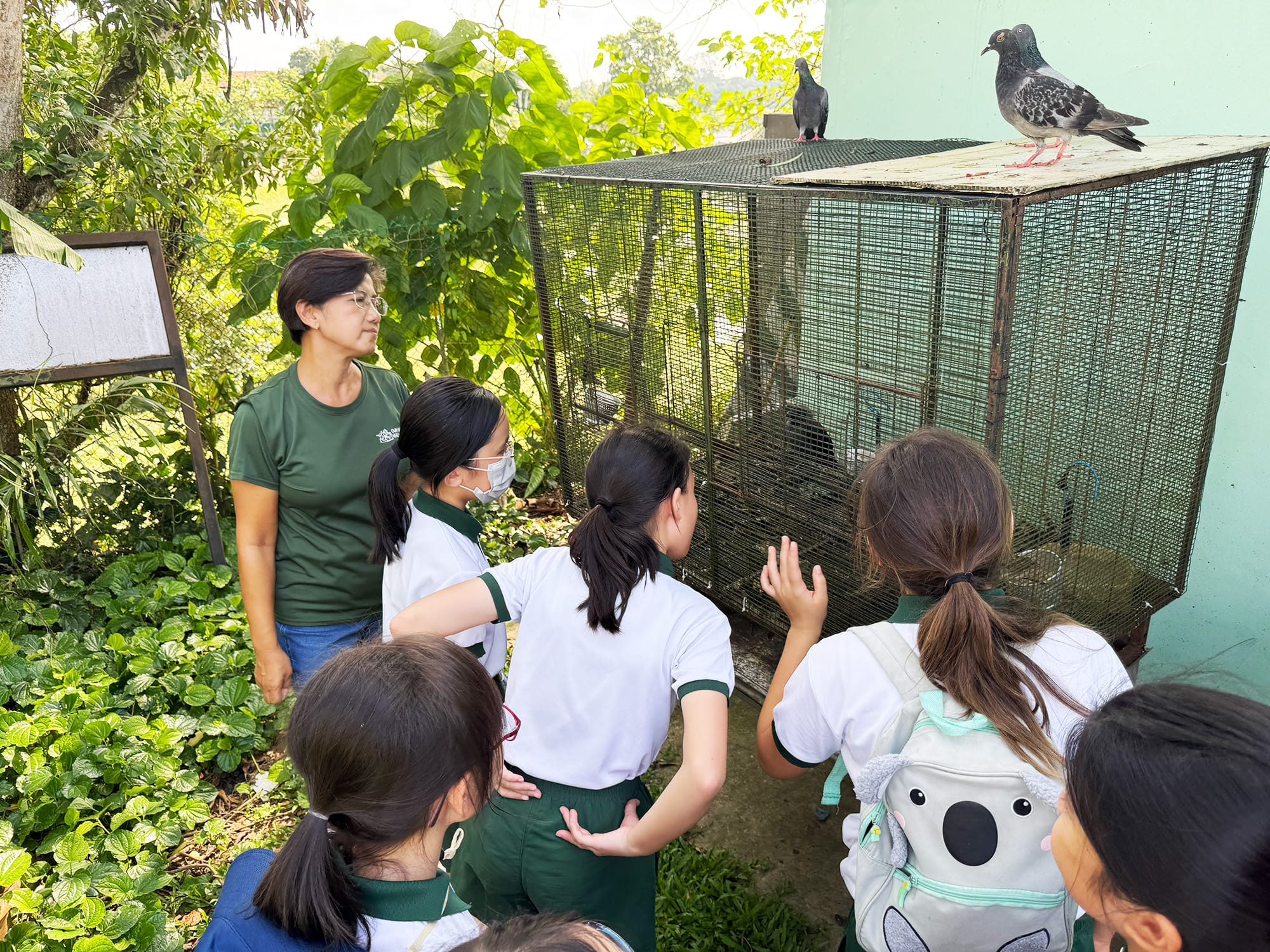 Students observe birds at an outdoor enclosure during an Environmental Science Club learning activity, exploring nature and wildlife conservation.